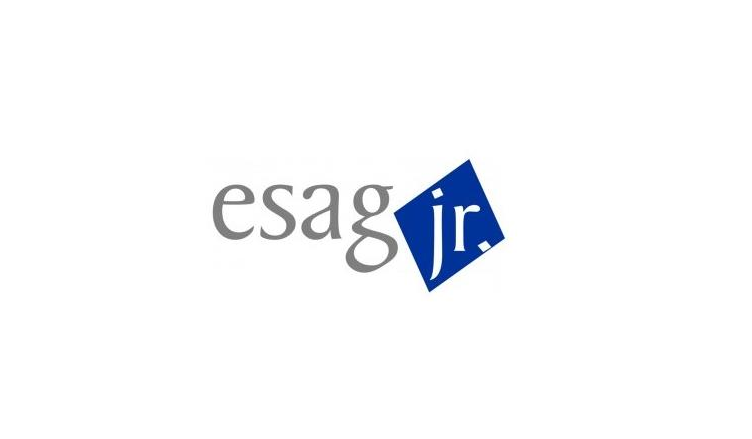 Esag Jr promove em Florianópolis workshop sobre soluções criativas de problemas