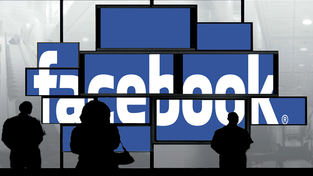 Artigo: Um novo tipo de propaganda: o Marketing no Facebook