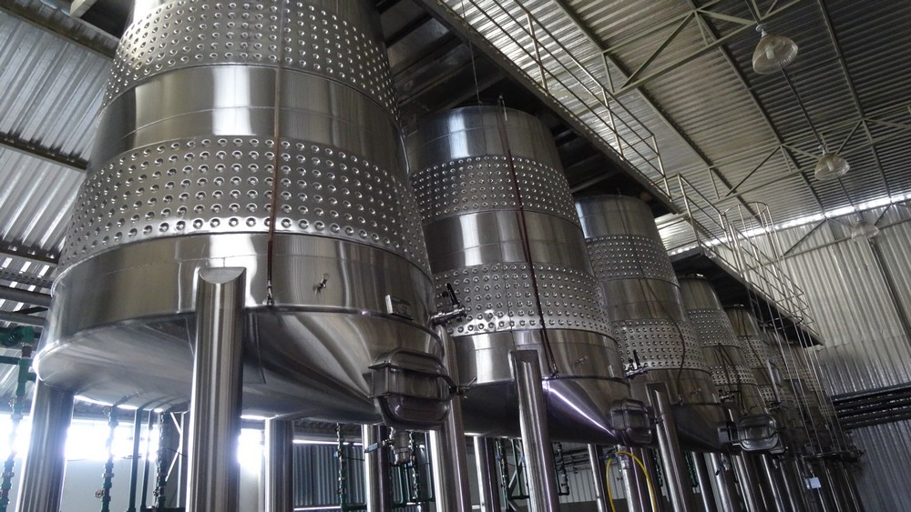 Boliviano investe em vinícola na Serra Catarinense | Vinícola D´alture