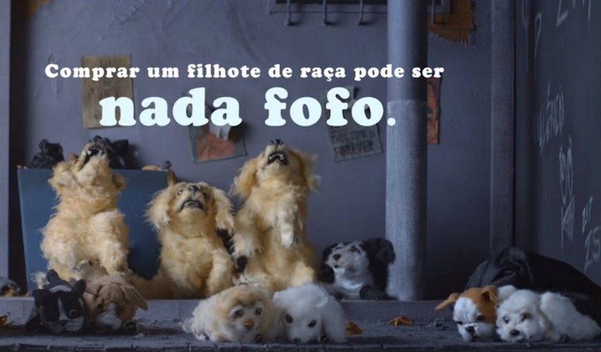 Vídeo da Leo Burnett para campanha brasileira de adoção de animais mostra o lado nada fofo da venda de cachorros