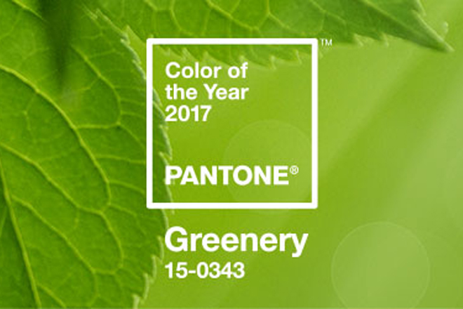 Pantone revela cor do ano para 2017