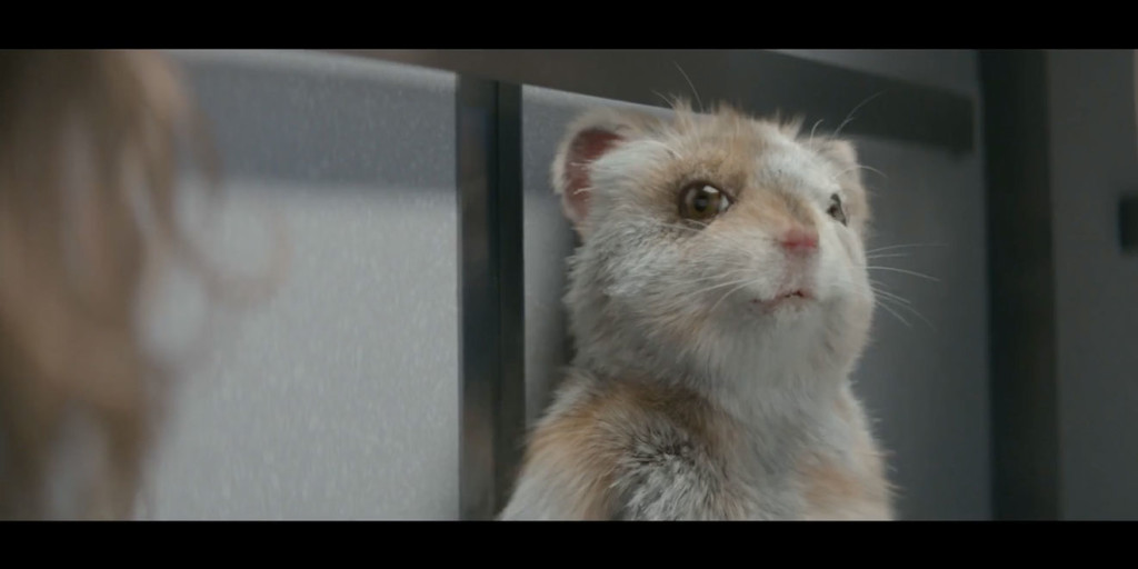 Kia estreia campanha com o hamster “Turbo”