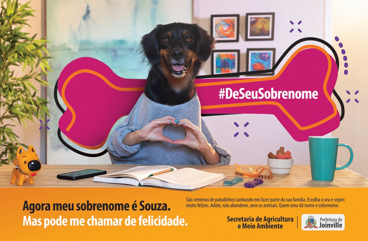 Animais ganham sobrenome em campanha da Magica para Prefeitura de Joinville