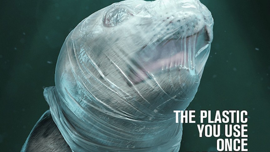 Campanha utiliza imagens fortes para retratar o sofrimento que sacolas plásticas causam a animais marinhos