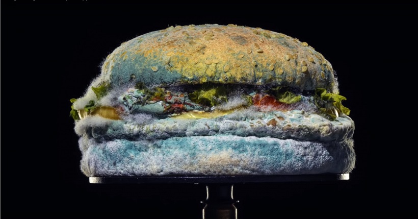 Campanha global do Burger King mostra Whoper mofado sem conservantes