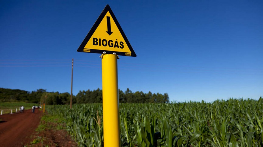 Sebrae e GEF Biogás Brasil lançam a plataforma DataSebrae Biogás