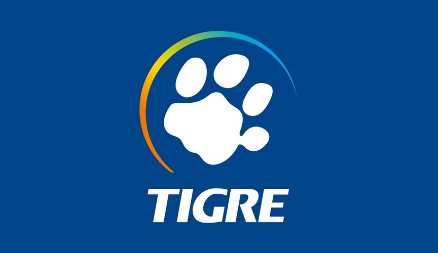 Tigre é vencedora de prêmio de inovação promovido pela revista Amanhã