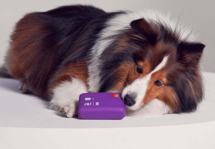 Nubank lança brinquedo para pet semelhante ao modelo do cartão do banco