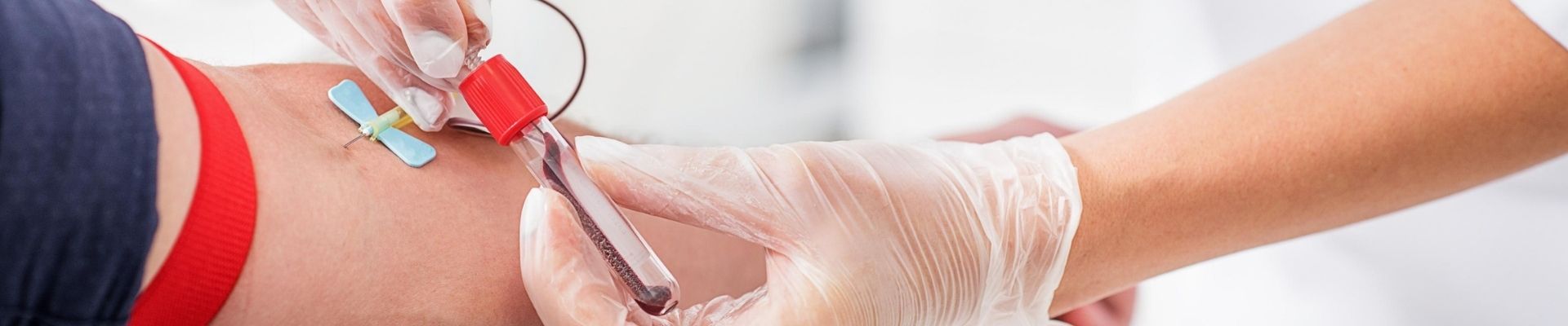 Colaboradores da WKoerich se mobilizam para a doação de sangue ao Hemosc