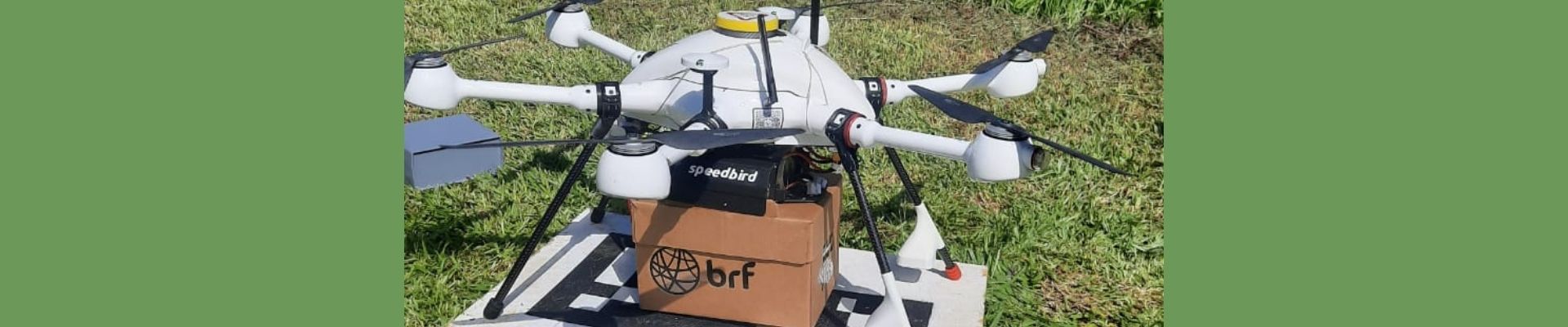 BRF utiliza drone para distribuição de material genético suíno em Santa Catarina