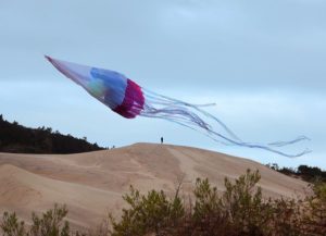 Arte e tecnologia na agenda cultural comentada