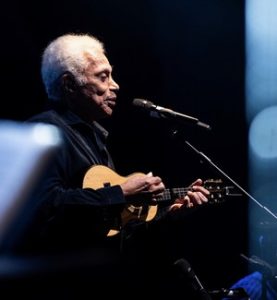 Muita cultura em SC