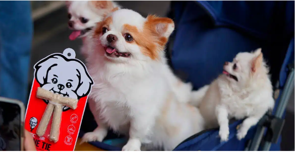 Ação KFC para cachorros traz gravata comestível feita com frango