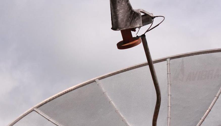 Ação da DirecTV faz as antenas parabólicas virarem santuários de pássaros