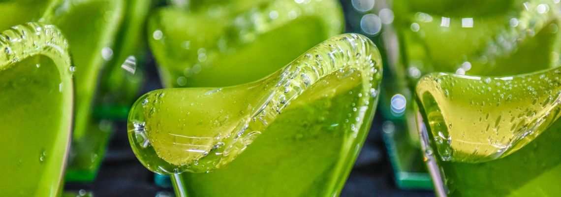Portobello é uma das vencedoras do 30º Prêmio Expressão de Ecologia