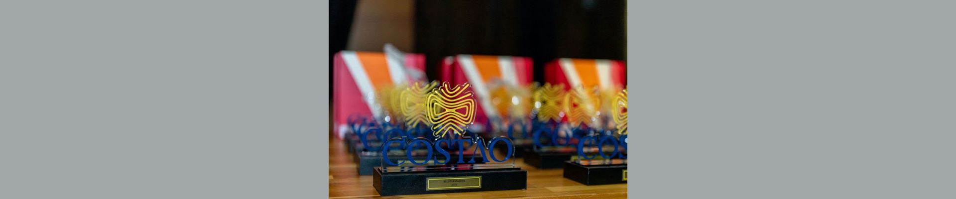 Estrelas Costao premia top parceiros de 2023 do costão do santinho resort