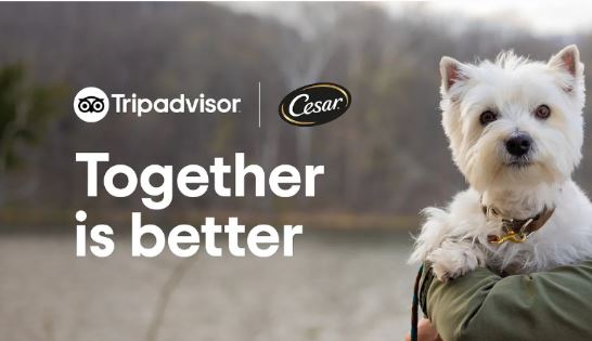 Mars Petcare e Tripadvisor se juntam em campanha para "ajudar" donos de animais de estimação Mars Petcare e Tripadvisor se juntam em campanha para "ajudar" donos de animais de estimação