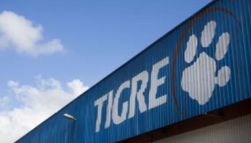 Jogo do Tigrinho: Tigre divulga recall do próprio nome em campanha divertida