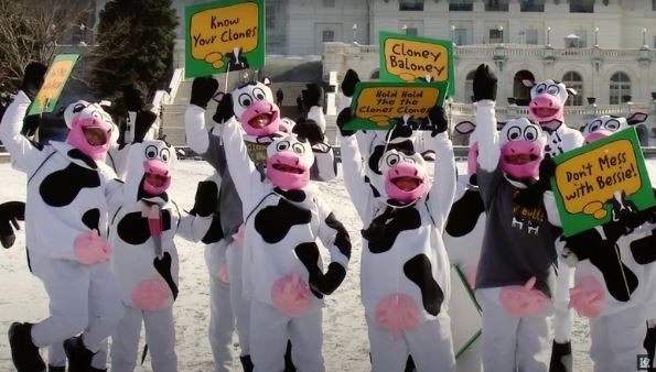 Primeira ação da Ben & Jerry's depois de uma década sem campanha da marca, foca no ativismo Primeira ação da Ben & Jerry's depois de uma década sem campanha da marca, foca no ativismo
