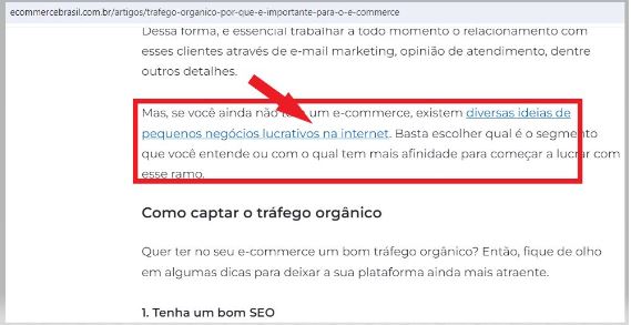 Usando palavras-chave de cauda longa