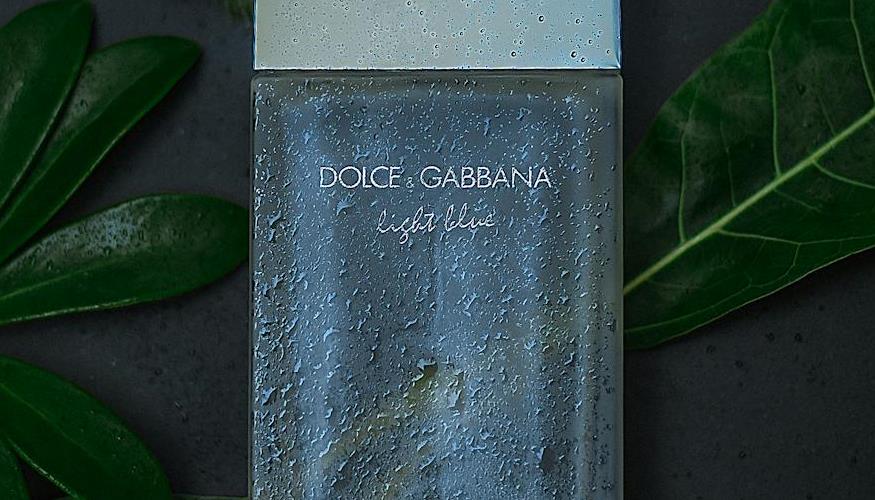 Fefé: Dolce & Gabbana lança seu primeiro perfume de luxo para cães