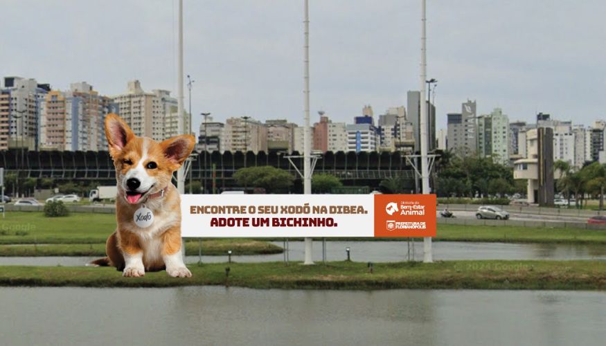 Neovox e Prefeitura de Floripa no ar pela adoção de animais.