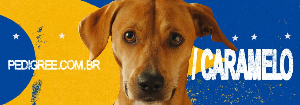 Vira-Lata Caramelo ganha protagonismo em campanha da Pedigree