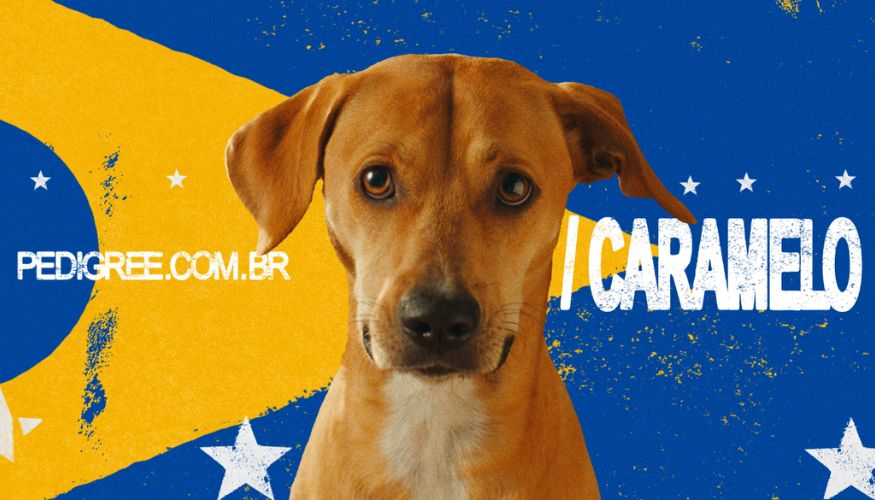 Vira-Lata Caramelo ganha protagonismo em campanha da Pedigree