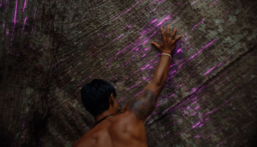Vivo leva a Amazônia para o LollaBR 2025 com campanha de preservação ambiental