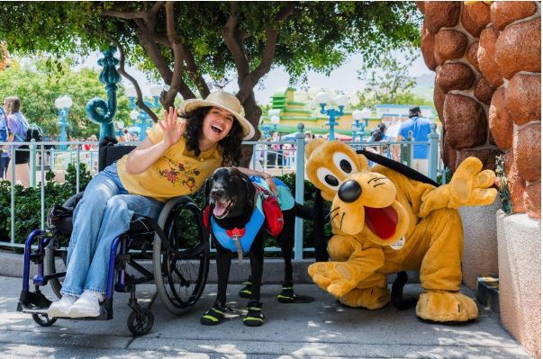 A grande inspiração da Disney na campanha dos 70 anos do parque temático A grande inspiração da Disney na campanha dos 70 anos do parque temático