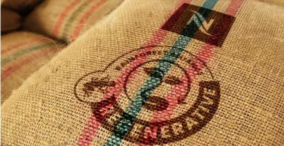 Nespresso obtém certificação inédita da Rainforest Alliance para café de produção regenerativa Nespresso obtém certificação inédita da Rainforest Alliance para café de produção regenerativa