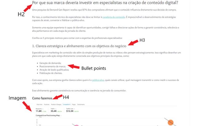 Diagnóstico completo do site