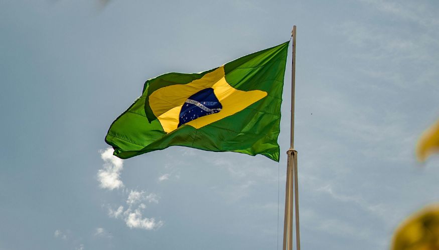 Coluna Ozinil Martins | O Estado paternalista e o brasileiro