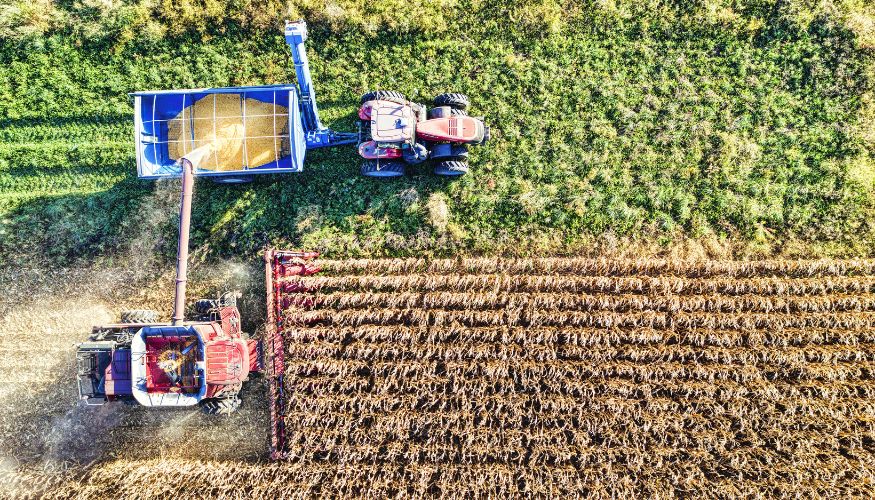 Agtechs catarinenses ganham espaço e ampliam impacto no agronegócio