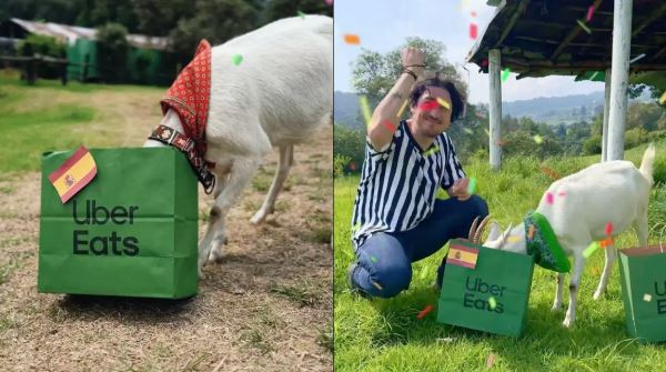 Hugo, o bode "vidente" da Uber Eats, vira fenômeno nas redes durante a Copa do Mundo Hugo, o bode "vidente" da Uber Eats, vira fenômeno nas redes durante a Copa do Mundo